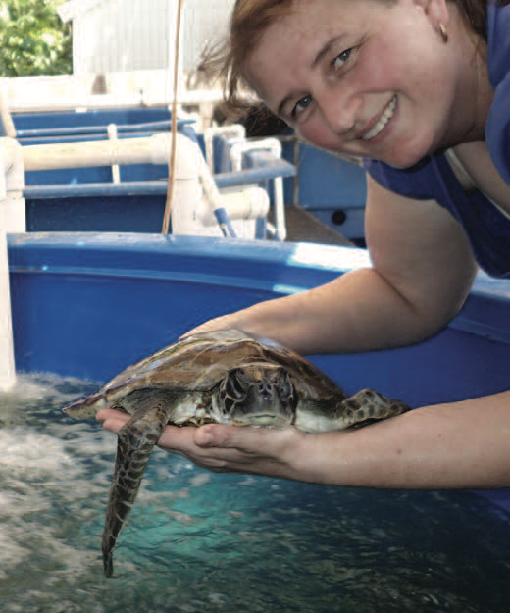2015 Turtle Lady Chelonia.png