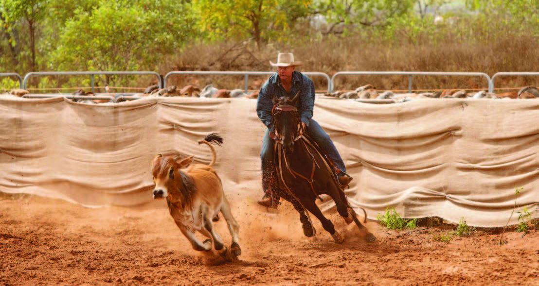 2022 CAMPDRAFTING.jpg