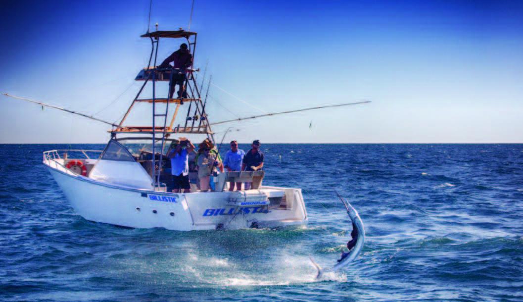 2018 5000kilometrestogofishing 3.jpg