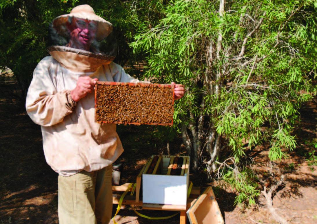 2018 Raw+Bush+Honey 1.jpg