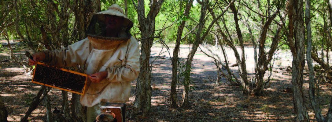 2018 Raw+Bush+Honey 3.jpg